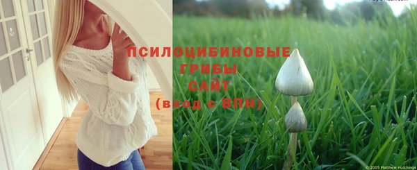 прущий лед Армянск