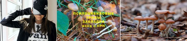 прущий лед Армянск