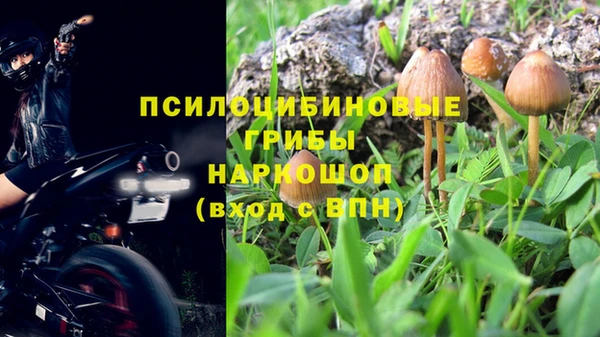 молекула духа Аркадак