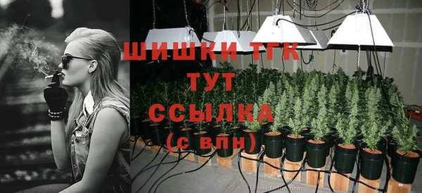 молекула духа Аркадак