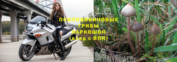 молекула духа Аркадак