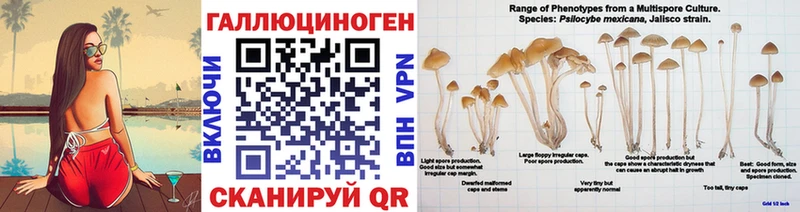 хочу наркоту  Терек  Галлюциногенные грибы прущие грибы 